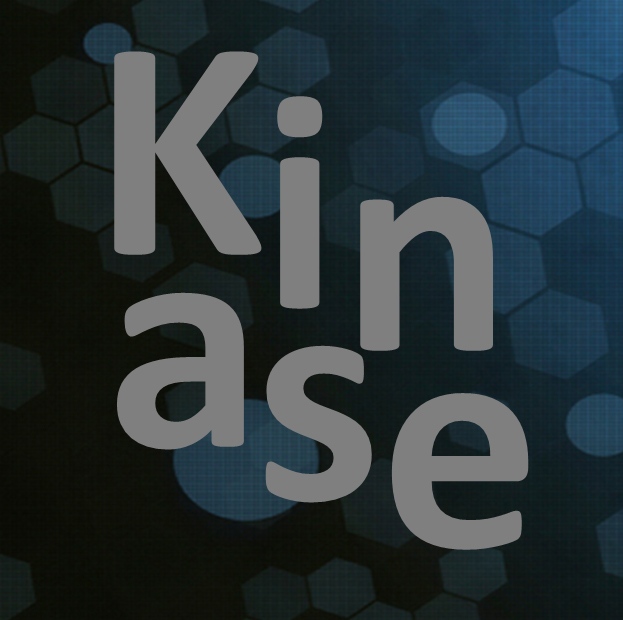 Kinase