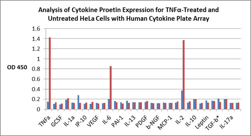 Analysis of Cytokine Protein Expression in TNFa-Treated and Untreated HeLa with Human Cytokine ELISA Plate Array. HeLa cells were starved for 24 hours with serum-free medium, subsequently treated the cells with and without 20ng/ul TNF for 16 hours. The serum-free conditioned media were incubated on the plate for 1 hour. After incubating with detection antibody mix and HRP, the plate was detected with TMB substrate by a plate reader.